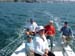 DSCF0082